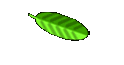Lara
