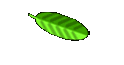 Simba