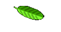 Tina