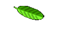 Unser Heim